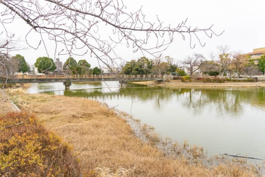 万代池公園