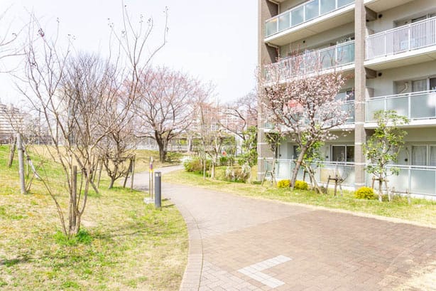 OPH千里佐竹台内の通りの桜