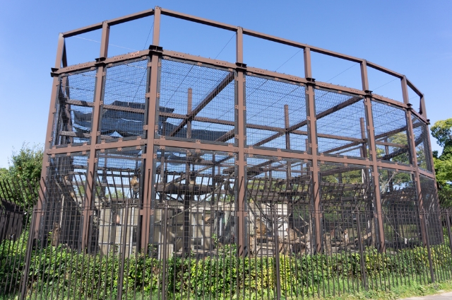 大浜公園:サル島