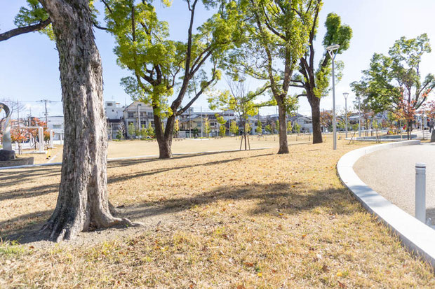 大枝公園 芝生広場