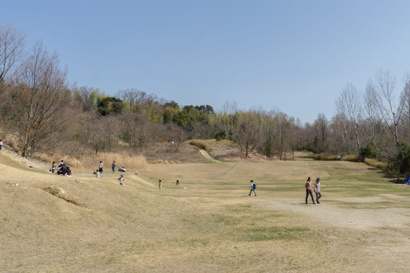 千里北公園 広々とした原っぱ