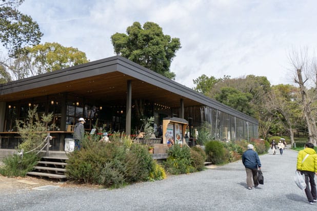 公園内のカフェ・レストラン「バードツリー」