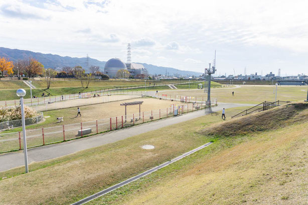 花園中央公園 芝生広場