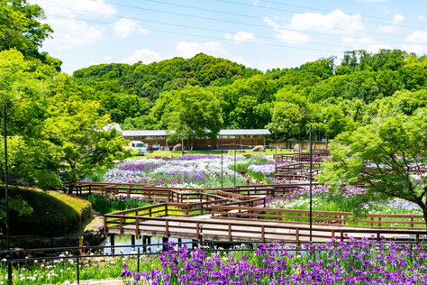 山田池公園